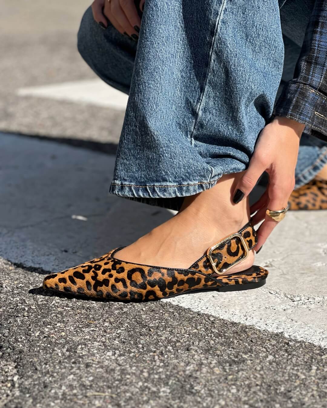 OF - Steve Madden Sianna-l leopard