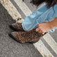 OF - Texano Rue animalier