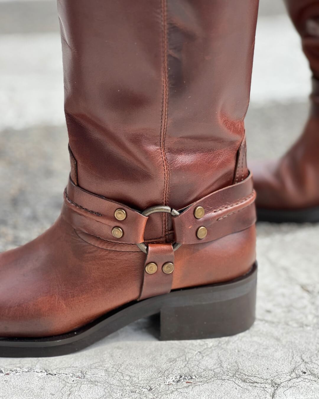 OF - Biker Ryan marrone con dettagli bronzo