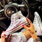 OF - Converse Chuck Taylor All Star bianco